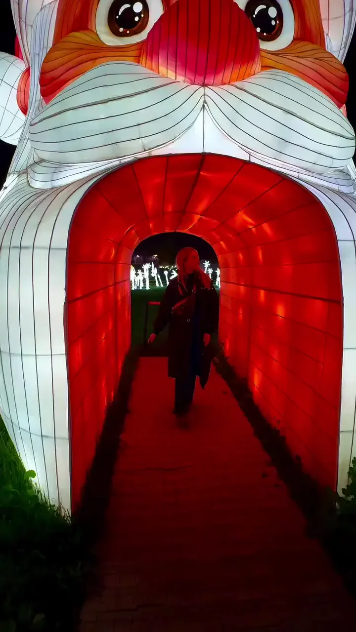 Guest showcase: ig-08